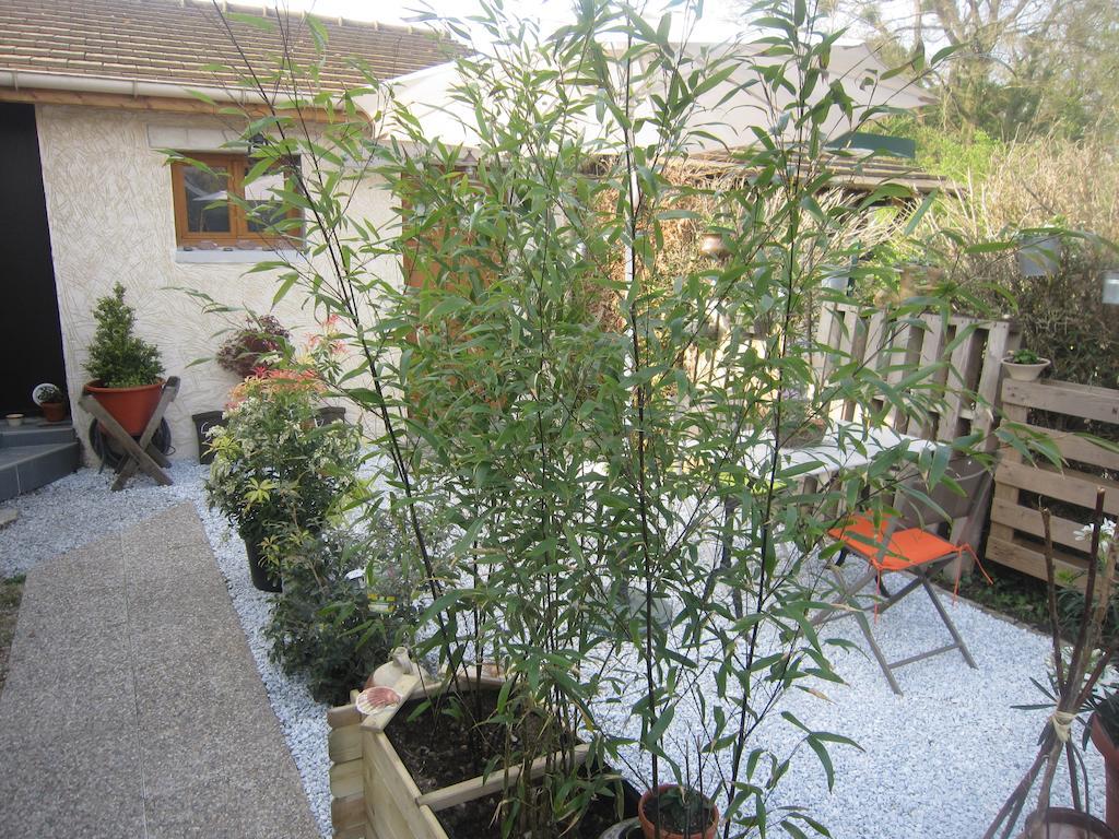B&B 2 Zen Detente Coye-la-Forêt Exterior foto